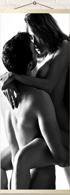 Картина по номерам Молли Тайна влечения 35x88 / HRP0109