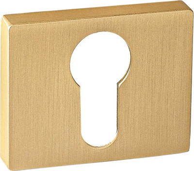 Накладка на цилиндр Ренц INET 01 SSG (золото матовое сатинированное)