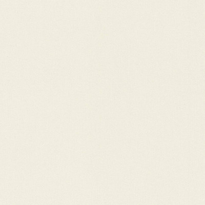 Виниловые обои Rasch 960747