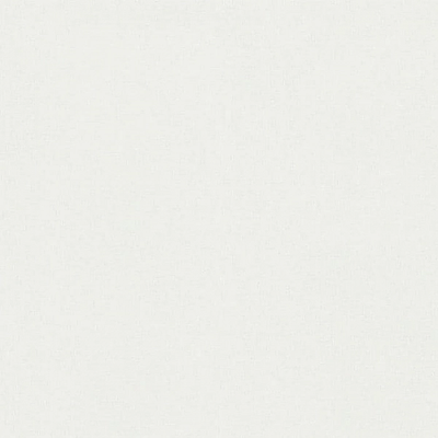 Виниловые обои Rasch 981155