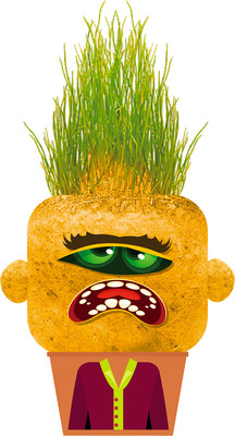 Набор для выращивания растений Hape Садовод Капризный Монстр / 848103_HP