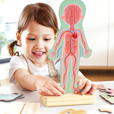 Развивающая игра Hape Умняша Строение тела человека / E1652_HP