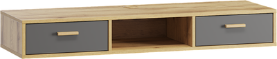 Тумба ЛофтМебель Олимпик ТВ №5 / VR-00003277 (дуб золотистый/графит)