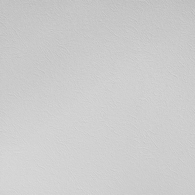 Стеклообои WELLTON Decor Пергамент / WD854 (12.5 м)