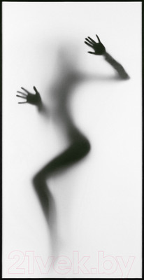 Картина Декарт Тени 8Л0405 (в раме)