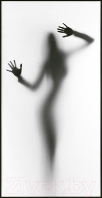 Картина Декарт Силуэт 8Л0404 (в раме)