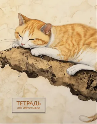 Тетрадь предметная Эксмо Для записи иероглифов. Рыжий котик / 9785042088247