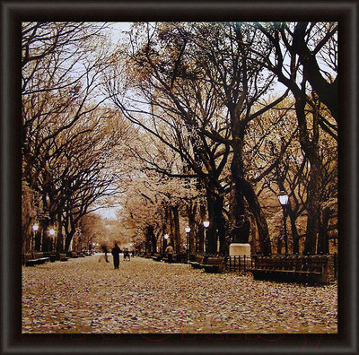 Картина Декарт Осенний парк 8Л0321 (в раме)