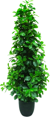 Искусственное растение GreenPark Фикус микрокарпа / GP-019/145