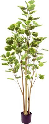 Искусственное растение GreenPark Фикус Лирата пестрый / GP-027/160