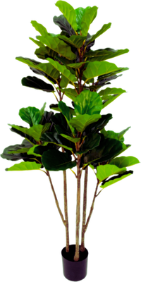 Искусственное растение GreenPark Фикус Лирата / GP-028/155