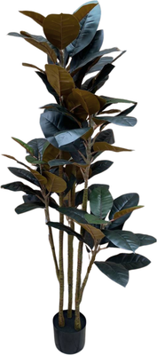 Искусственное растение GreenPark Фикус эластика. Каучуконосный / GP-029/150