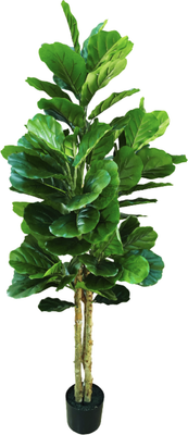 Искусственное растение GreenPark Фикус Лирата / GP-031/160