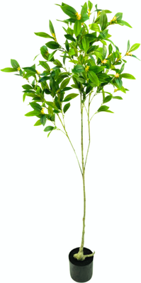 Искусственное растение GreenPark Дерево лавр благородное цветущее / GP-035/165