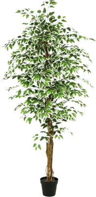 Искусственное растение GreenPark Дерево фикус Бенджамина пестрый / GP-037/170