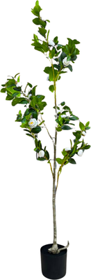 Искусственное растение GreenPark Камелия японская белая / GP-046/150