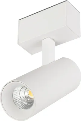 Трековый светильник Arlight MAG-SPOT-45-R85-12W Warm3000 WH 36deg 24V / 033426