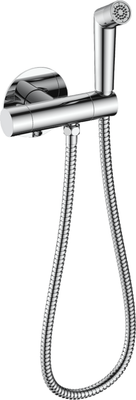 Гигиенический душ со смесителем Raglo R23.56