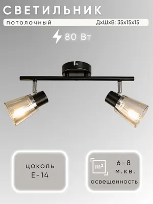 Потолочный светильник Aitin-Pro НПБ 02-2x40-102 / 1434/2 (черный/хром)