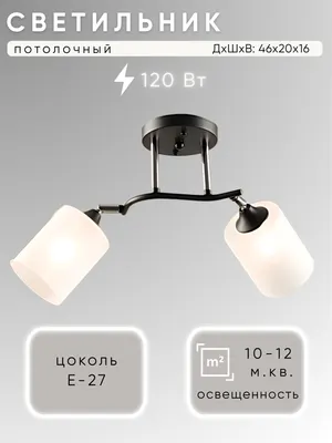 Потолочный светильник Aitin-Pro НПБ 02-2x60-101 / K2316/2 (черный/хром)