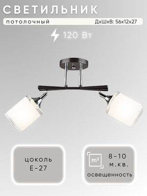 Потолочный светильник Aitin-Pro НПБ 02-2x60-101 / N5959/2 (кофе/хром)