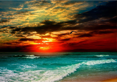 Фотообои листовые Citydecor Море и Водопады 64 (200x140см)