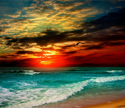 Фотообои листовые Citydecor Море и Водопады 64 (300x260см)