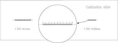 Калибровочный слайд Magus CS3 0.01/0.05/0.1 / 82242