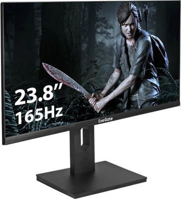 Монитор ExeGate Combat EV2407C (EX295591RUS)