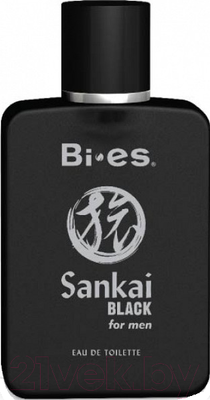 Туалетная вода Bi-es Sankai Black (100мл)