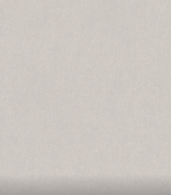 Виниловые обои Гомельобои Инди фон к-62 24ВТА1 (на флизелиновой основе)