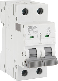 Выключатель автоматический Geya GYM9H-2P-3C