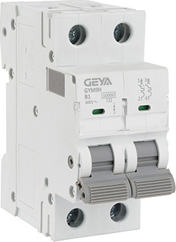Выключатель автоматический Geya GYM9H-2P-1B