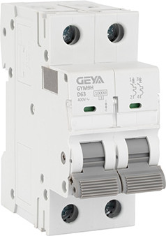 Выключатель автоматический Geya GYM9H-2P-63D