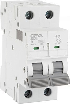 Выключатель автоматический Geya GYM9H-2P-16B