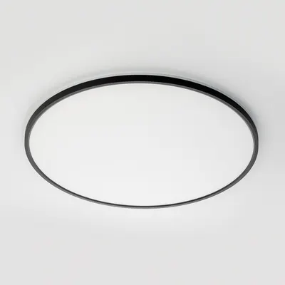 Потолочный светильник Citilux Norma CL749601