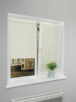 Рулонная штора Lm Decor Лайт LM 30-02C 48x160 (молочный)