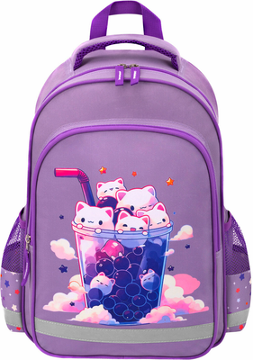 Школьный рюкзак Пифагор School. Bubble Tea / 273164