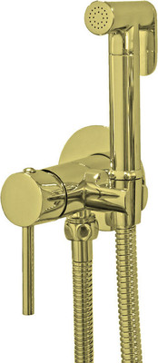 Гигиенический душ со смесителем MVL 26010-GL (золото)