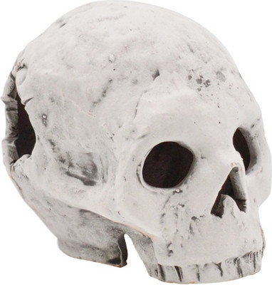 Декорация для аквариума ZooExpress Грот Иж Череп ВГ3