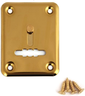 Накладка под сувальдный ключ Avers DP-01-S-G-shutter