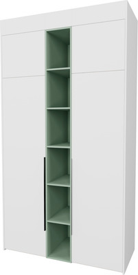 Шкаф Рэйгрупп Рэй S257-В4-EBZ В4 (дуб элисон/белый премиум/зеленый самшит)