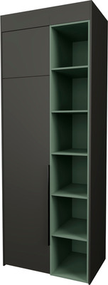 Шкаф Рэйгрупп Рэй S257-B2-WKZ В2 (дуб веллингтон/кобальт/зеленый самшит)