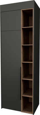 Шкаф Рэйгрупп Рэй S245-B1-WKW В1 (дуб веллингтон/кобальт)