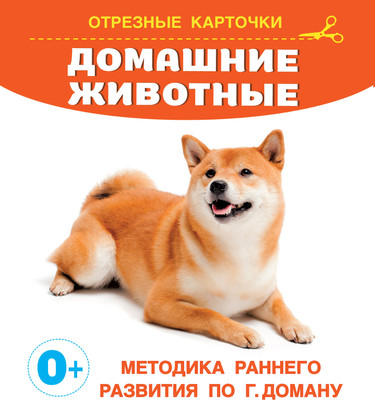 Развивающие карточки АСТ Домашние животные, мягкая обложка (Дмитриева Валентина)