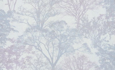 Флизелиновые обои Аспект 30258-65