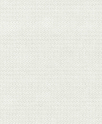 Флизелиновые обои Rasch 102116
