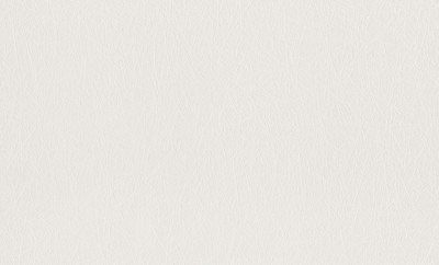 Флизелиновые обои Rasch 124514