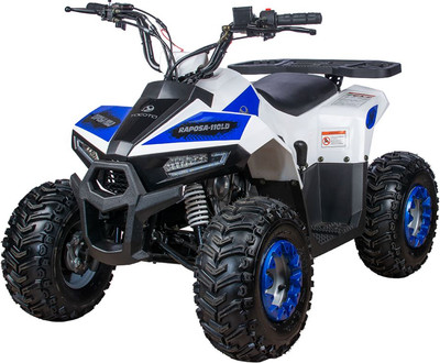 Квадроцикл Yacota Raposa 110 куб.см. (белый)