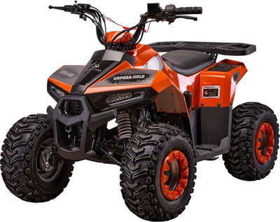 Квадроцикл Yacota Raposa 110 куб.см. (оранжевый)